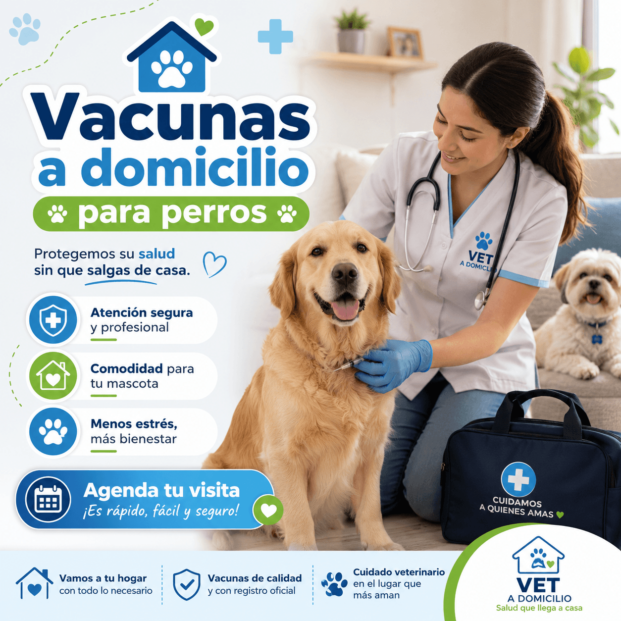 Inyecciones a domicilio perros